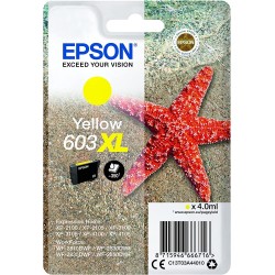 Cartouche Epson C13T03A44010