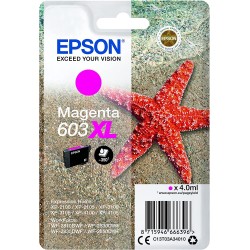 Cartouche Epson C13T03A34010