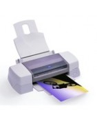 Cartouche pour imprimante Epson Stylus Photo 1290 PS | Dijiprint